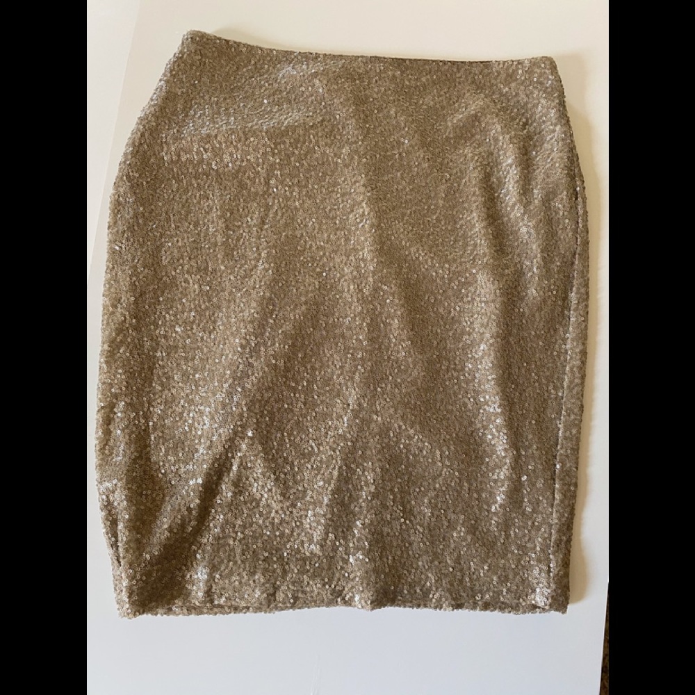 NWT Ralph Lauren Skirt